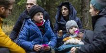 Фото новости: Польша о мигрантах из Беларуси: они стремятся попасть в Германию через границу ЕС Свежие новости: Польша о мигрантах из Беларуси: они стремятся попасть в Германию через границу ЕС