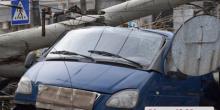 Свежие новости: В Николаеве рухнувшее дерево раздавило авто