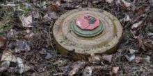 Фото новости: На Миколаївщині чоловік підірвався на боєприпасі, коли збирав дрова Свежие новости: На Миколаївщині чоловік підірвався на боєприпасі, коли збирав дрова