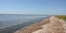 Свежие новости: В Очаковском горсовете изъявили желание забрать территории заповедных зон Кинбурнской косы