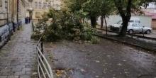 Свежие новости: Во Львове ветер крушит деревья и остановки
