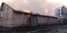 Свежие новости: В Березанке из-за нарушения технологического процесса начался пожар на маслозаводе