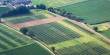 Свежие новости: Прокуратура нашла нарушения при использовании земель сельскохоз назначения в Новоодесском районе