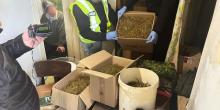 Фото новости: Поліцейські викрили мешканця Миколаївського району на зберіганні канабісу для подальшого збуту Свежие новости: Поліцейські викрили мешканця Миколаївського району на зберіганні канабісу для подальшого збуту