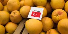 Фото новости: Армения планирует запретить продажу турецких товаров Свежие новости: Армения планирует запретить продажу турецких товаров