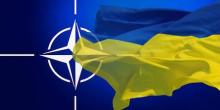 Фото новости: Николаевцы все больше доверяют НАТО Свежие новости: Николаевцы все больше доверяют НАТО