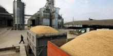 Фото новости: Аграрный фонд подозревает кражу зерна на 200 миллионов гривен Свежие новости: Аграрный фонд подозревает кражу зерна на 200 миллионов гривен