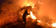 Фото новости: ФОТО: В Веселиновском районе в поле загорелись тюки с соломой Свежие новости: ФОТО: В Веселиновском районе в поле загорелись тюки с соломой