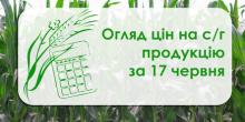 Свежие новости: Як змінилися ціни на зернові та олійні у Миколаївській області — огляд цін за 17 червня
