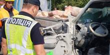 Свежие новости: Миколаївська область: рятувальники надали допомогу у ліквідації наслідків дорожньо-транспортної пригоди