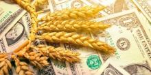 Свежие новости: Ціна пшениці зросла — огляд ціна на с/г продукцію