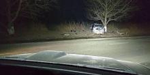 Фото новости: На Закарпатье внедорожник на скорости врезался в дерево - погибли три человека, еще двое в реанимации Свежие новости: На Закарпатье внедорожник на скорости врезался в дерево - погибли три человека, еще двое в реанимации