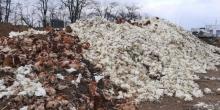 Фото новости: Под Херсоном на птицефабрике погибло около 4 миллионов кур Свежие новости: Под Херсоном на птицефабрике погибло около 4 миллионов кур