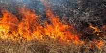 Фото новости: Минулої доби вогнеборцями Миколаївщини ліквідовано 3 пожежі сухостою Свежие новости: Минулої доби вогнеборцями Миколаївщини ліквідовано 3 пожежі сухостою