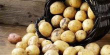 Свежие новости: На Николаевщине изъяли картофель с нитратами, закупленный для детей