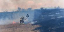 Фото новости: Пожежа у Новопетрівському урочищі: вогонь охопив сухостій і лісові насадження Свежие новости: Пожежа у Новопетрівському урочищі: вогонь охопив сухостій і лісові насадження