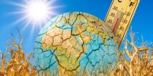 Свежие новости: Зима відступає: в Україну заходить потепління