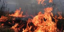 Свежие новости: На Николаевщине в очередной раз горела трава и мусор