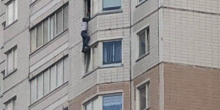 Свежие новости: ВИДЕО: Москвич выпал из окна на 15 этаже – полицейские составили на него протокол за нарушение самоизоляции