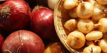 Свежие новости: С начала года Украина импортировала рекордный объем лука