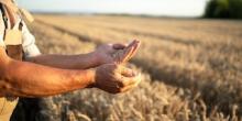 Фото новости: Мінагрополітики пом'якшило умови для бронювання працівників аграрних підприємств Свежие новости: Мінагрополітики пом'якшило умови для бронювання працівників аграрних підприємств