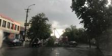 Свежие новости: Из-за упавшего дерева центр Вознесенска остался без света