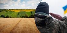 Свіжі новини: Миколаїв призупиняє розгляд заяв військових на безоплатну землю