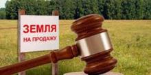 Свежие новости: В Украине запустят электронные земельные аукционы