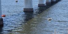 Фото новости: В Николаеве патрульный до приезда спасателей вытащил из воды девушку, которая спрыгнула с Варваровского моста Свежие новости: В Николаеве патрульный до приезда спасателей вытащил из воды девушку, которая спрыгнула с Варваровского моста