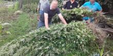 Свежие новости: В Винницкой области полиция изъяла у сельской жительницы около 10 килограммов наркотиков