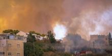 Свежие новости: В Израиле вспыхнул масштабный лесной пожар