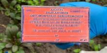 Свежие новости: СБУ разоблачила сеть по изготовлению поддельных международных COVID-сертификатов