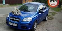 Свежие новости: В Киеве на автомобиль прилетел 