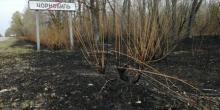Свежие новости: В Чернобыльской зоне все еще тлеют пеньки и сухая древесина — ГСЧС