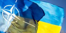 Фото новости: НАТО выделит Украине свыше миллиона евро на разминирование Свежие новости: НАТО выделит Украине свыше миллиона евро на разминирование