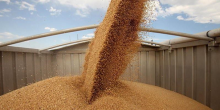 Свежие новости: Украина нарастила экспорт зерновых