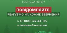 Свежие новости: Миколаївців просять повідомляти про незаконну вирубку лісів