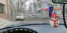 Свежие новости: В Николаеве из-за непогоды дерево обрушилось на припаркованное авто и заблокировало проезд