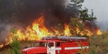 Свежие новости: В Украине объявлен чрезвычайный уровень пожарной опасности