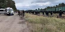 Свежие новости: Во Львовской области произошли столкновения между полицией и активистами, блокировавшими вагоны с российским углем
