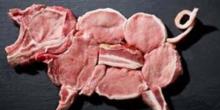 Свежие новости: В Украине продолжает стремительно падать производство свинины