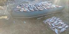 Свежие новости: В Новобугском районе рыбоохранный патруль обнаружил двух браконьеров – ущерб от их действий оценили в полмиллиона гривен