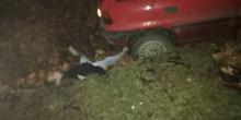 Свежие новости: Ночью в Николаеве Opel насмерть сбил человека