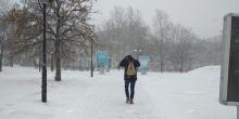 Свежие новости: Снегопад на Николаевщине: из-за непогоды отменяют автобусные рейсы