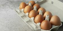 Свежие новости: Україна заборонила ввезення яєць та птиці з Чехії