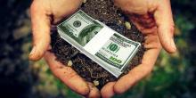 Свежие новости: Конституционный суд планирует признать незаконной продажу земли в Украине
