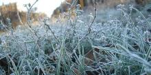 Свежие новости: На Украину надвигаются заморозки