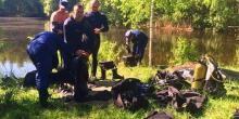 Свежие новости: На Киевщине в пруду утонул шестилетний ребенок