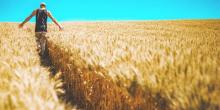 Свежие новости: Правительство выделит на поддержку аграриев почти 7 миллиардов