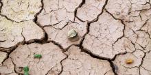 Свежие новости: В ближайшие 30-40 лет более 60% украинских земель грозит опустынивание, - Кабмин
